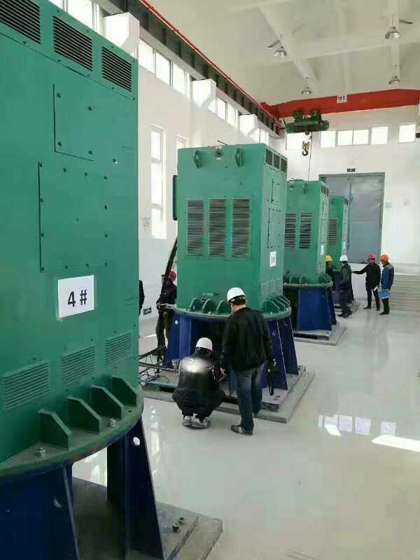 清江浦某污水处理厂使用我厂的立式高压电机安装现场